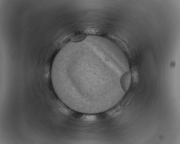 X0000097760665200803281635