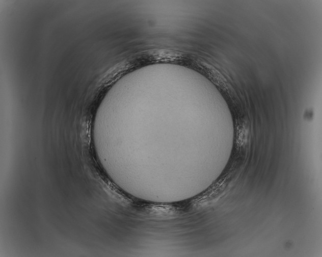 X0000097760666200803281635