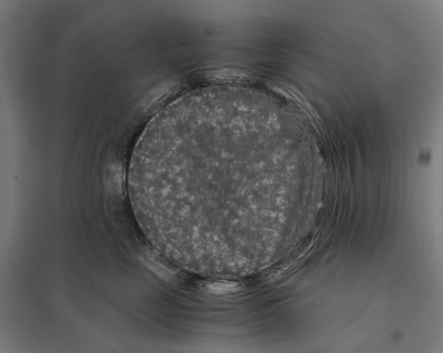 X0000097760669200803281635