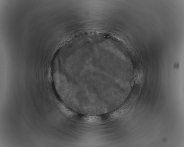 X0000097760670200803281635