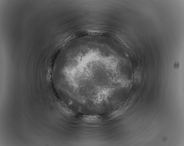 X0000097760671200803281635