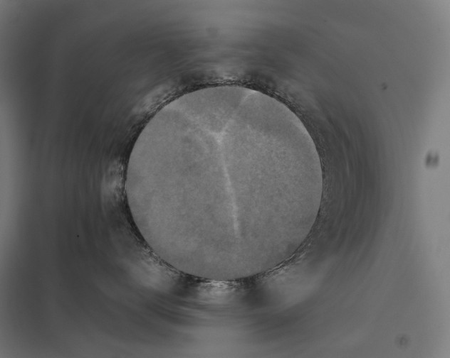 X0000097760672200803281635