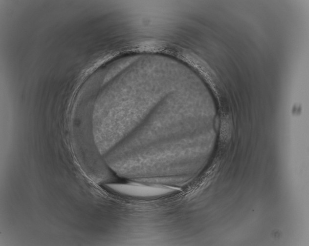 X0000097760673200803281634