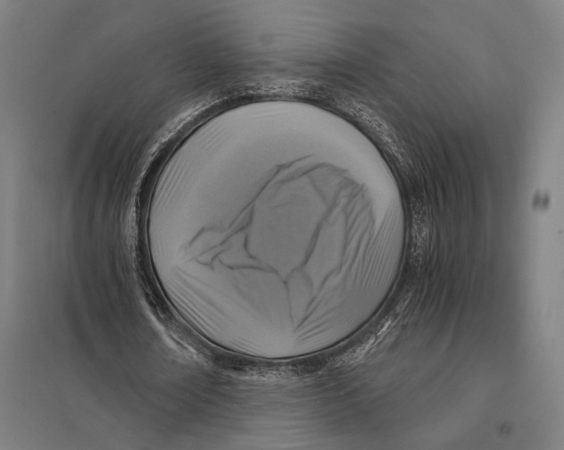 X0000097760674200803281634