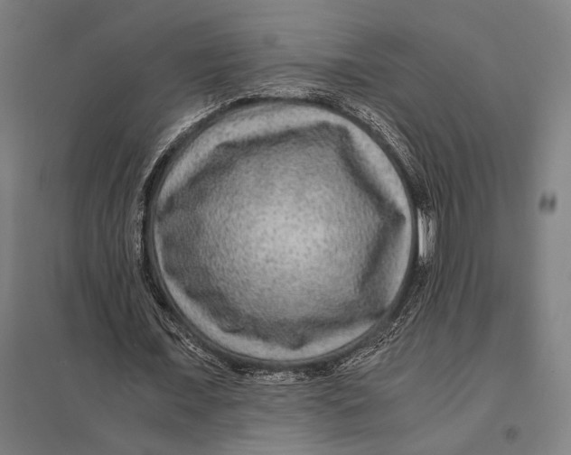 X0000097760675200803281634