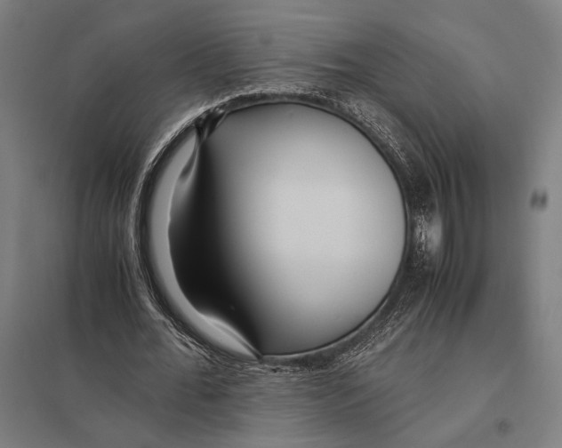 X0000097760676200803281634