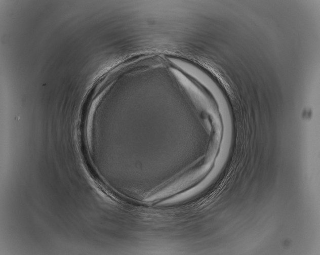 X0000097760677200803281634