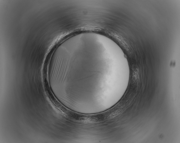 X0000097760678200803281634