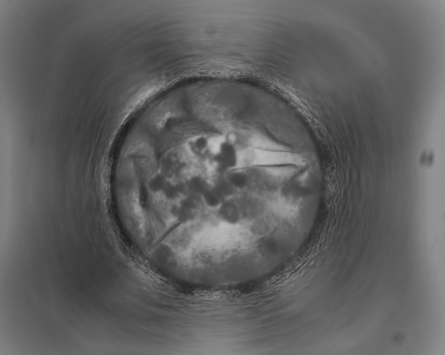 X0000097760679200803281634