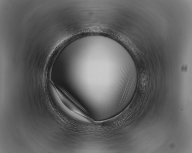 X0000097760680200803281634