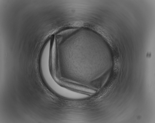 X0000097760681200803281634