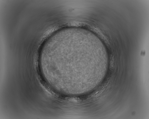 X0000097760683200803281634