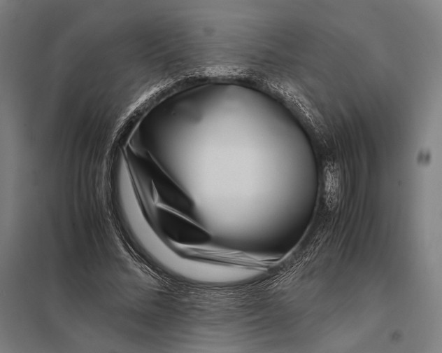 X0000097760684200803281634