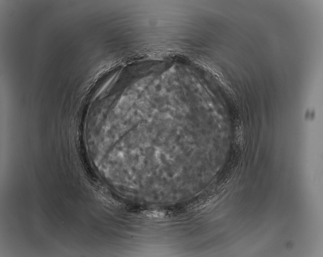 X0000097760687200803281634