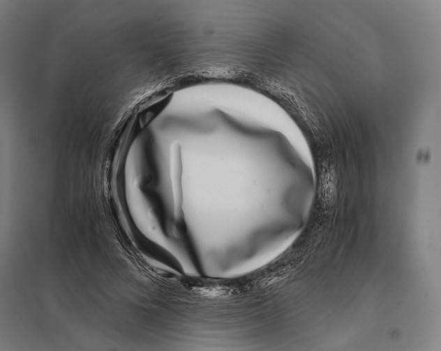 X0000097760688200803281634