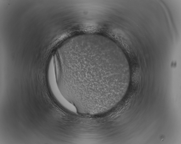 X0000097760689200803281634