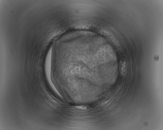 X0000097760692200803281634