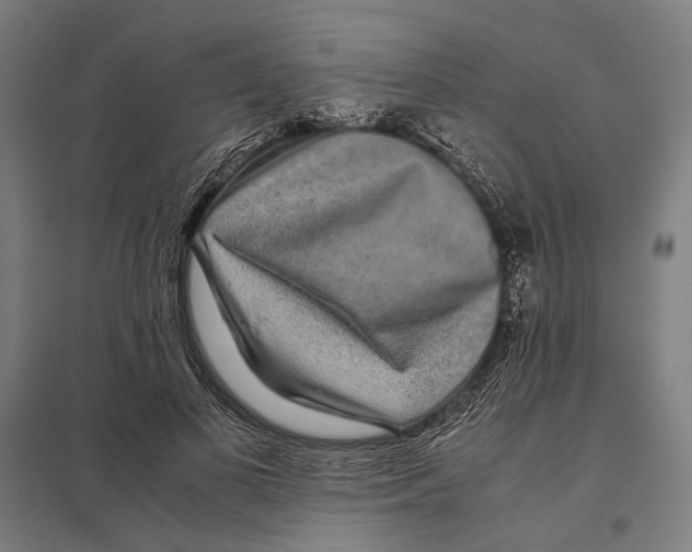 X0000097760693200803281634