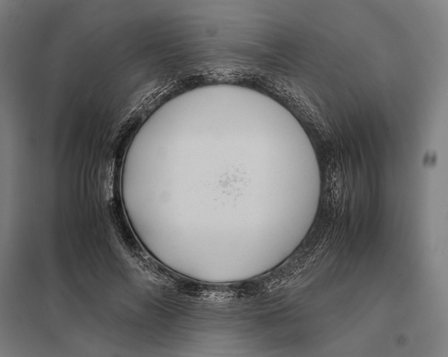 X0000097760694200803281634