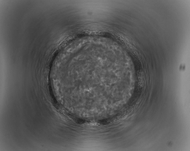 X0000097760695200803281634