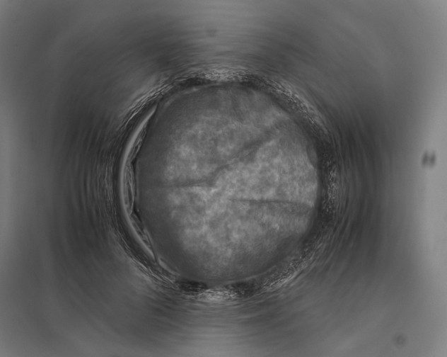 X0000097760696200803281634