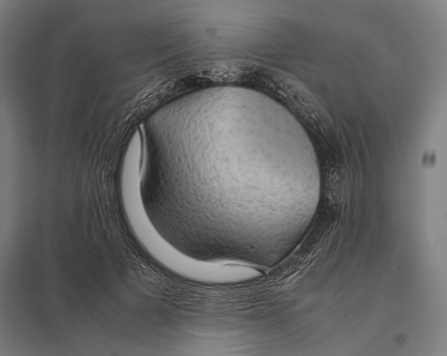 X0000097760697200803281634