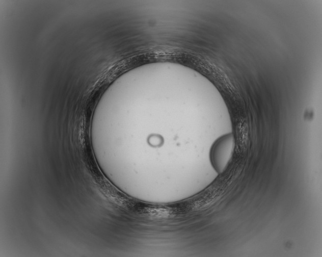 X0000097760698200803281634