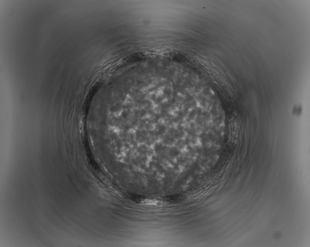 X0000097760699200803281634