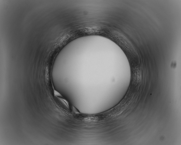 X0000097760700200803281634