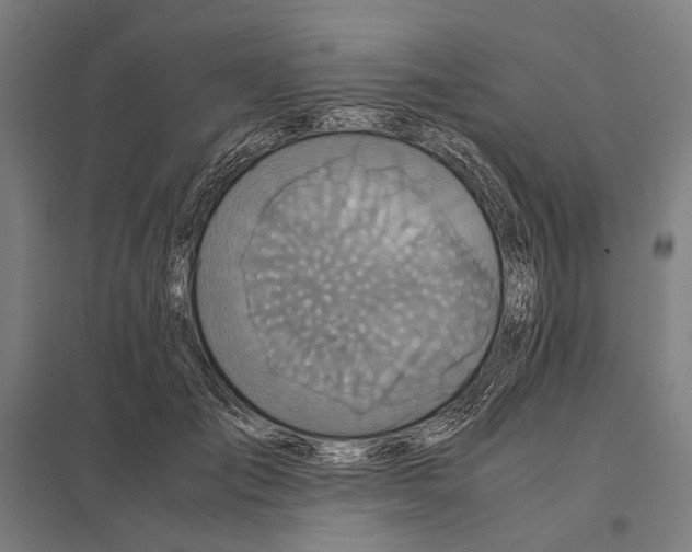 X0000097760701200803281634