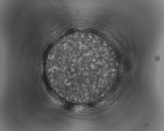 X0000097760703200803281634