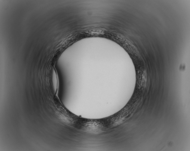 X0000097760704200803281634