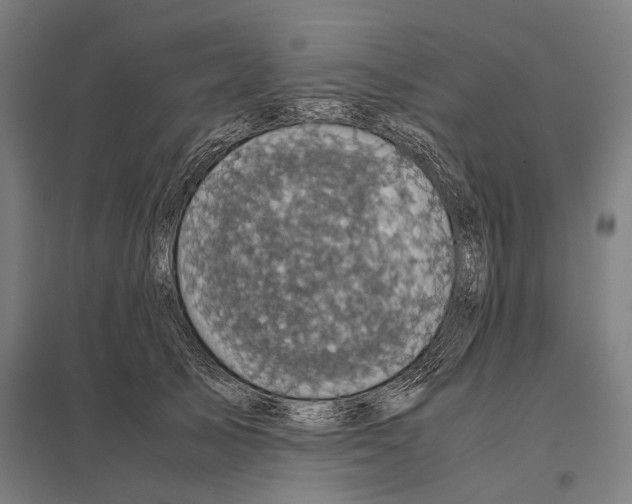 X0000097760705200803281634