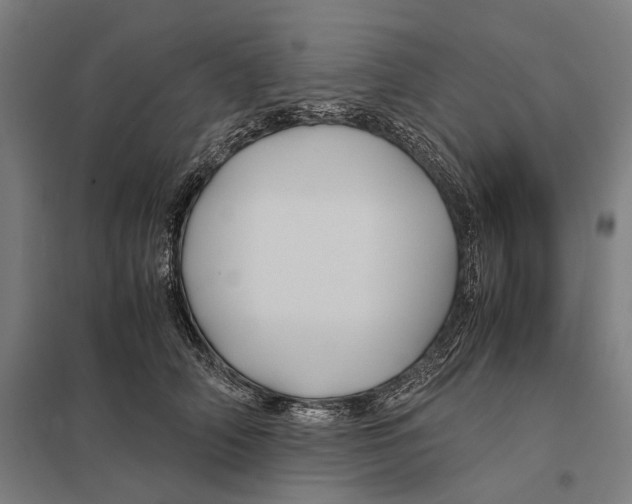 X0000097760706200803281634