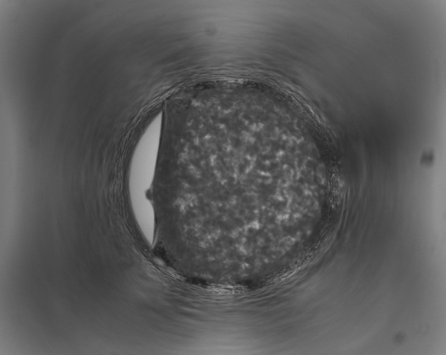 X0000097760707200803281634