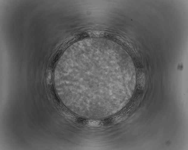 X0000097760709200803281634