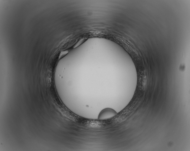 X0000097760710200803281634