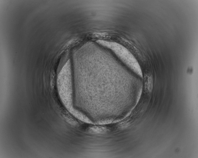 X0000097760712200803281634