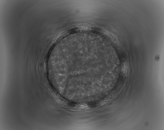 X0000097760715200803281634