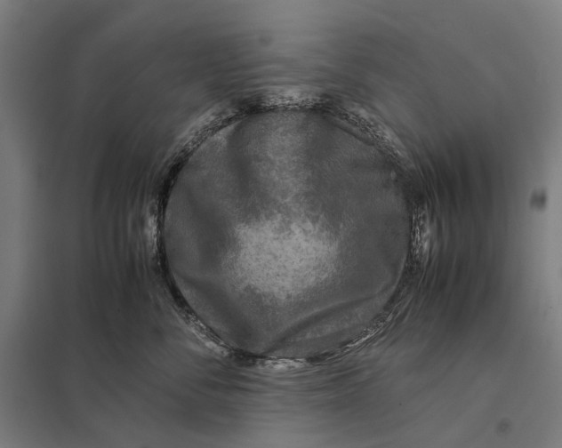 X0000097760716200803281634