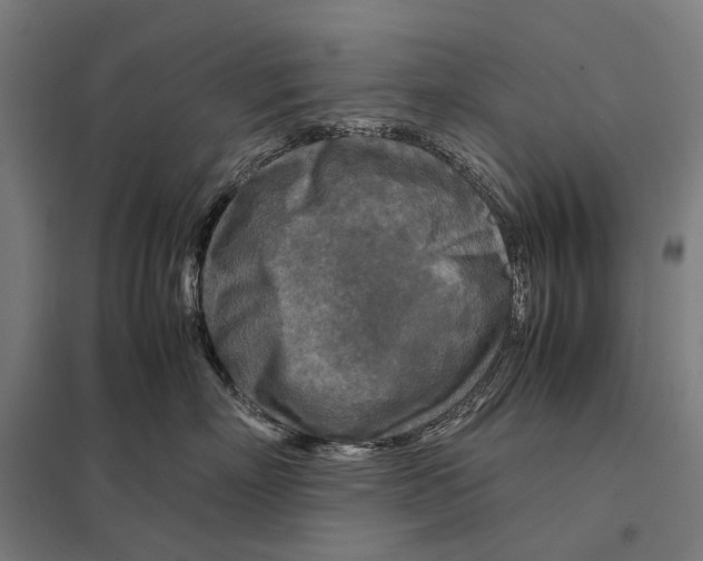 X0000097760718200803281633