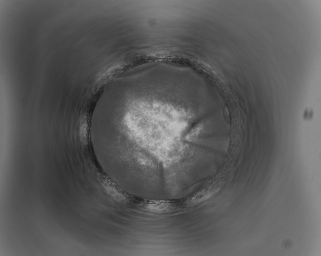 X0000097760720200803281633