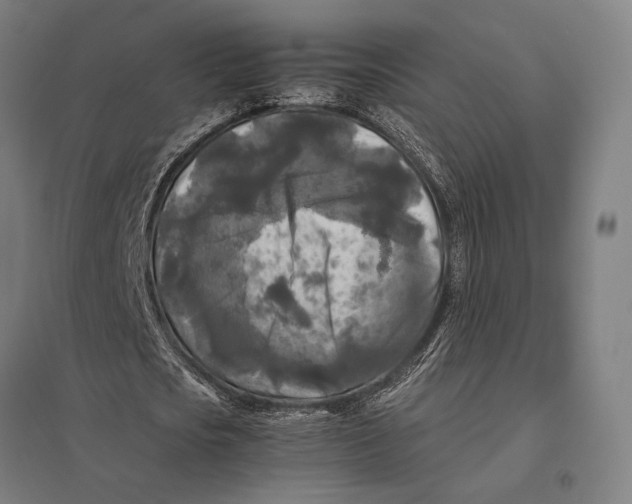 X0000097760721200803281633