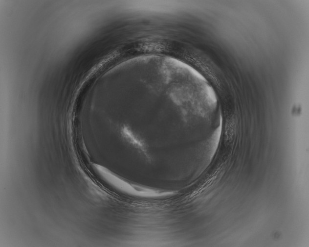 X0000097760722200803281633