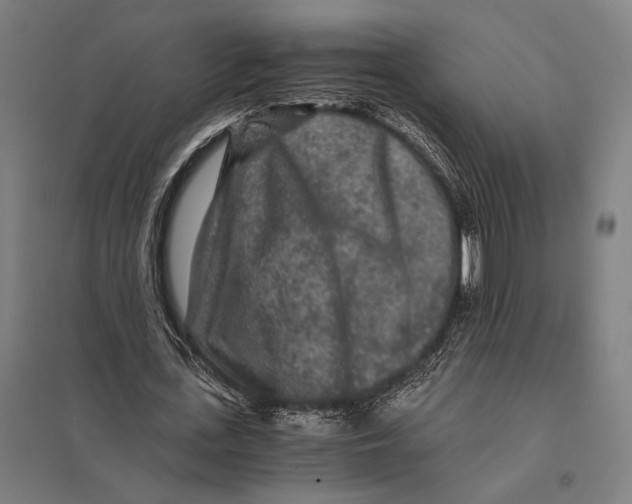 X0000097760723200803281633