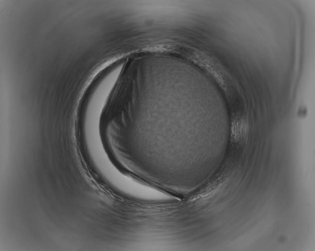 X0000097760724200803281633