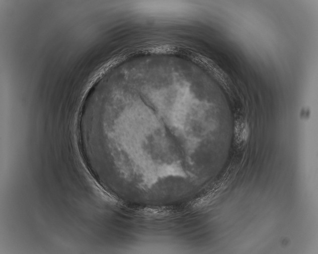 X0000097760725200803281633