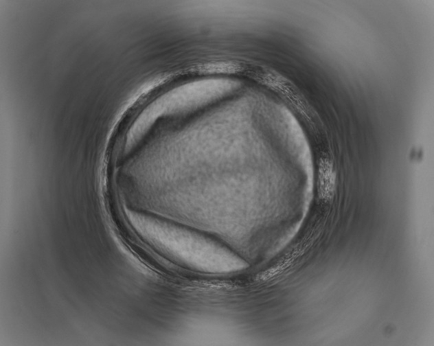 X0000097760726200803281633