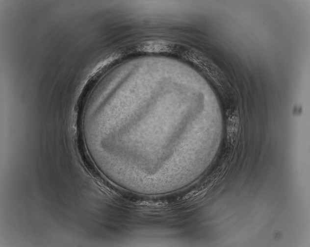 X0000097760727200803281633