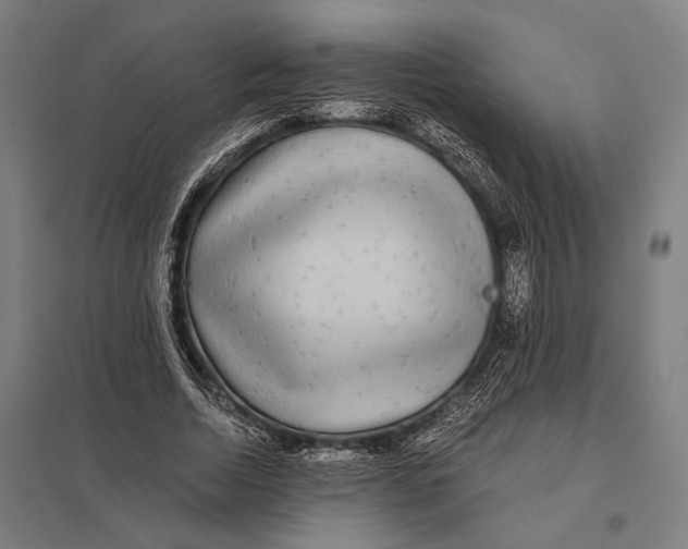 X0000097760730200803281633